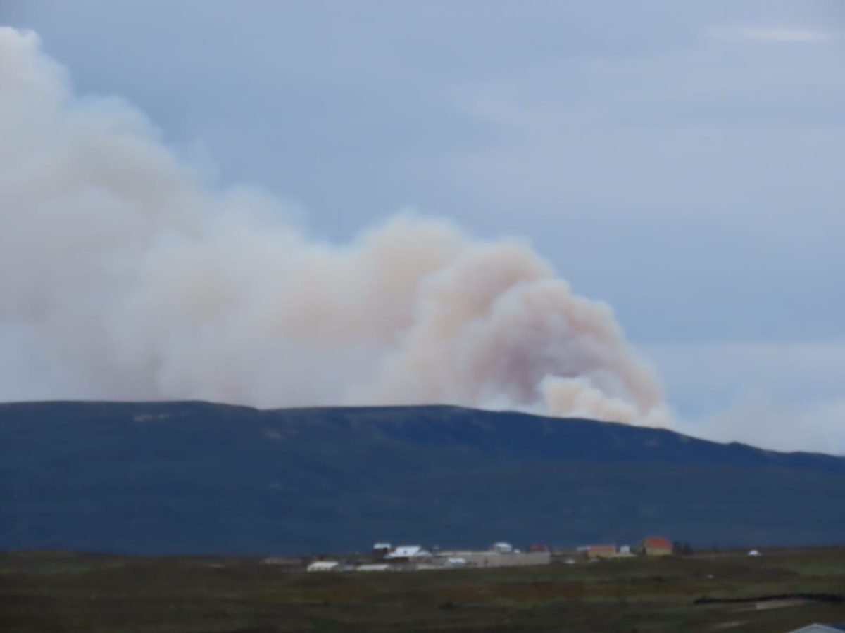 Incendio en Las Mercedes: Senapred declara alerta roja para Porvenir