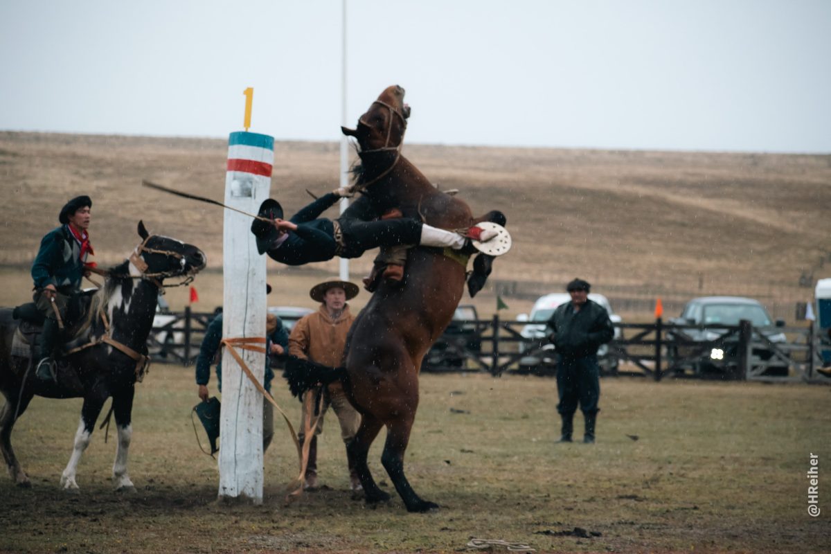 Todo lo que debes saber sobre la Fiesta Campesina del Ovejero 2025 en Tierra del Fuego