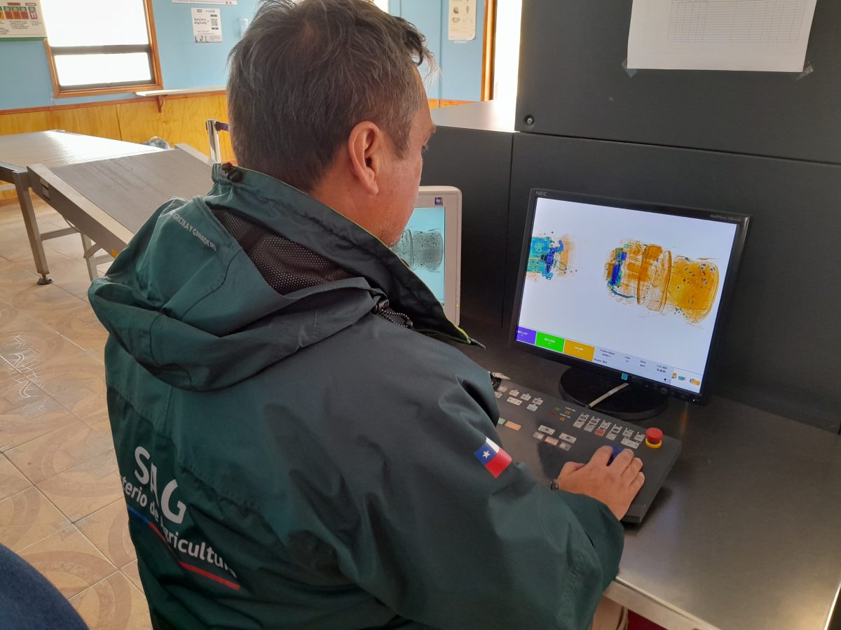 Más de 5 toneladas de productos retenidos por SAG en la región de Magallanes durante el primer trimestre 2025